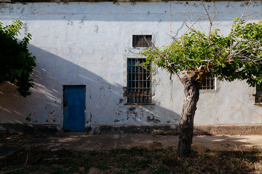 Isola dell'Asinara #26