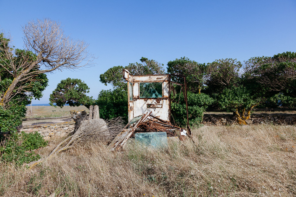 Isola dell'Asinara #23