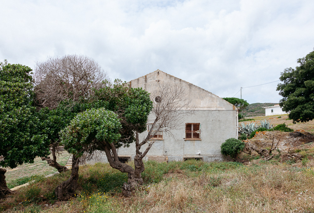 Isola dell'Asinara #24
