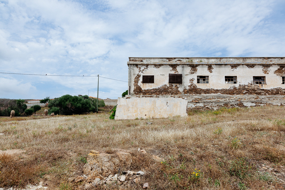 Isola dell'Asinara #9