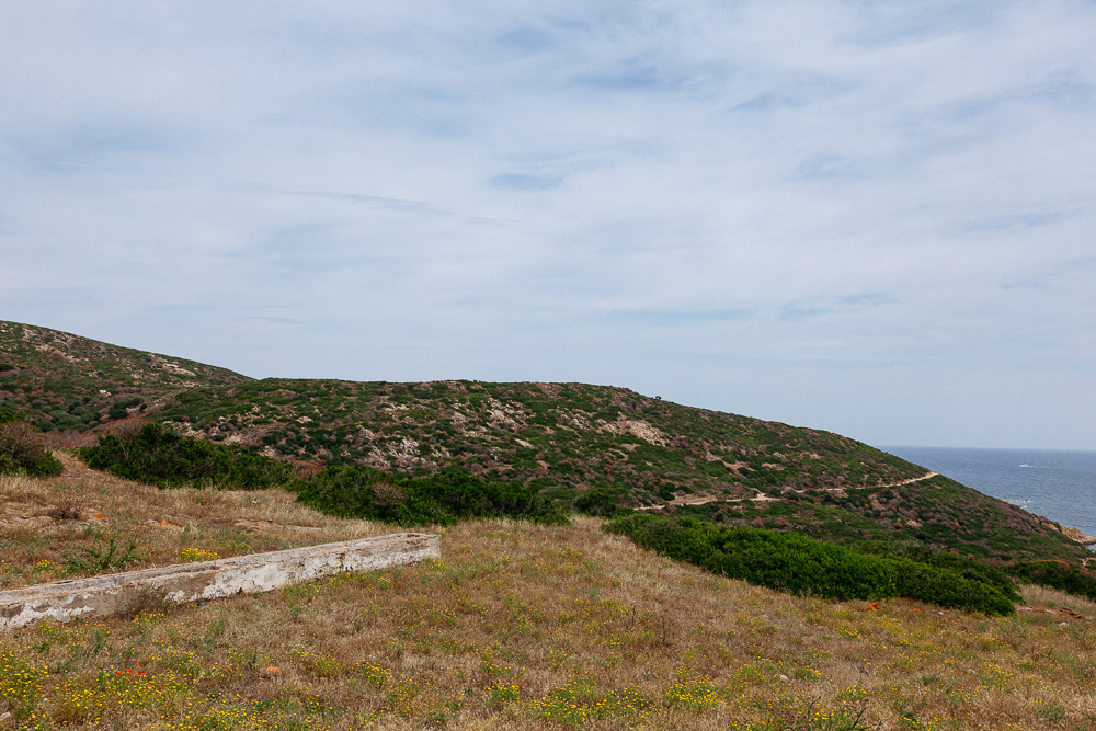 Isola dell'Asinara #16
