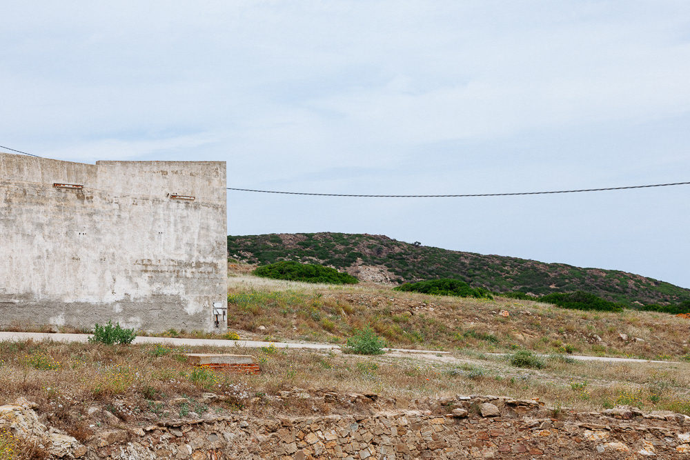 Isola dell'Asinara #5