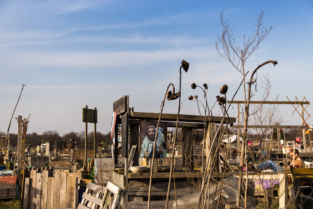 Guerrilla garden-Tempelhoferfeld