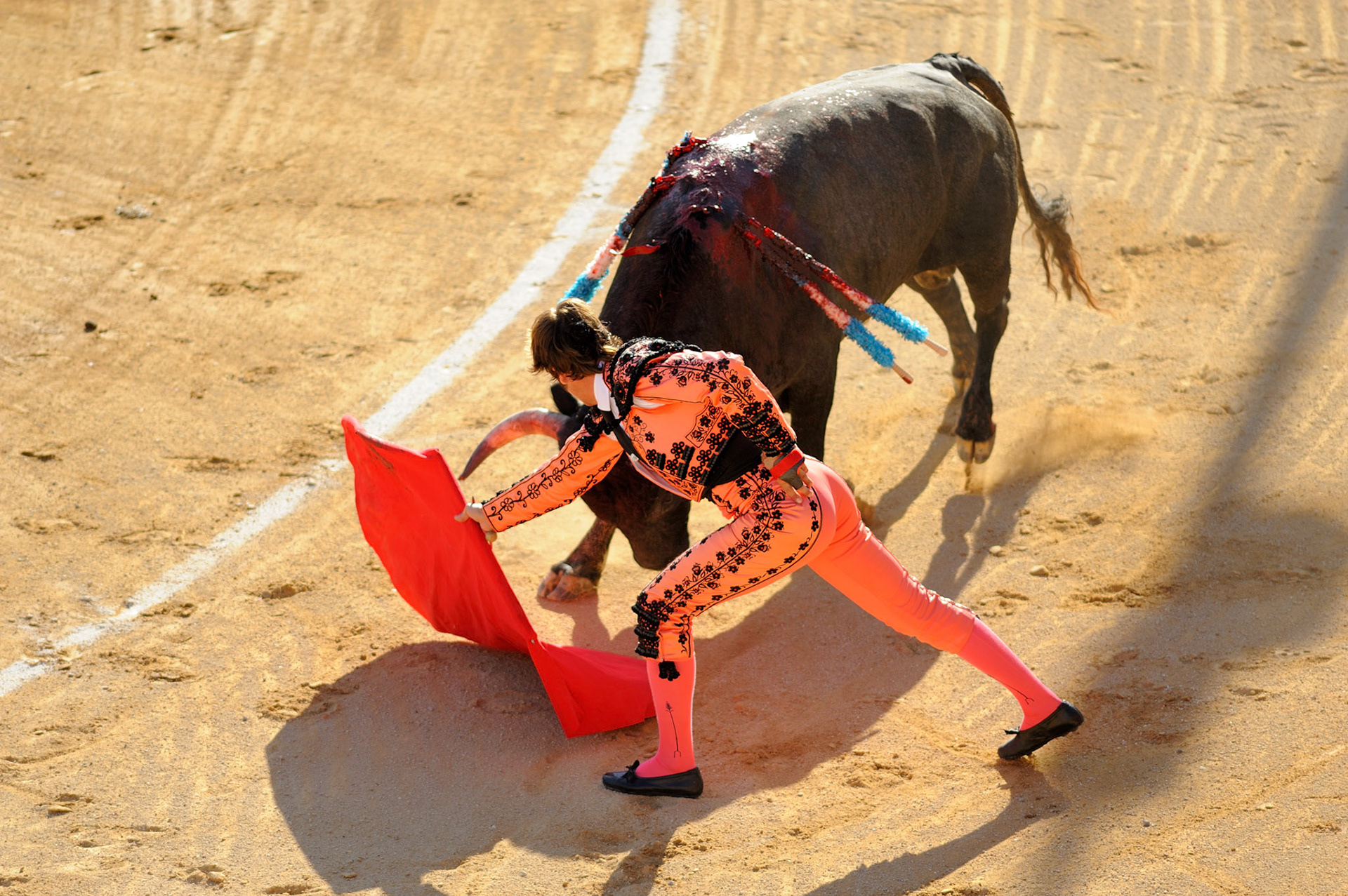 Commitment - Arena of Béziers