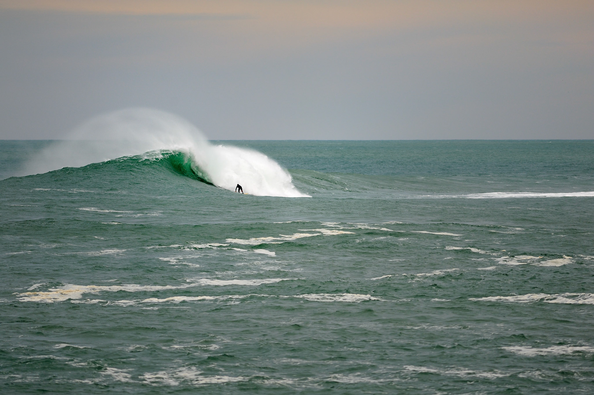 Parlementia - Guethary