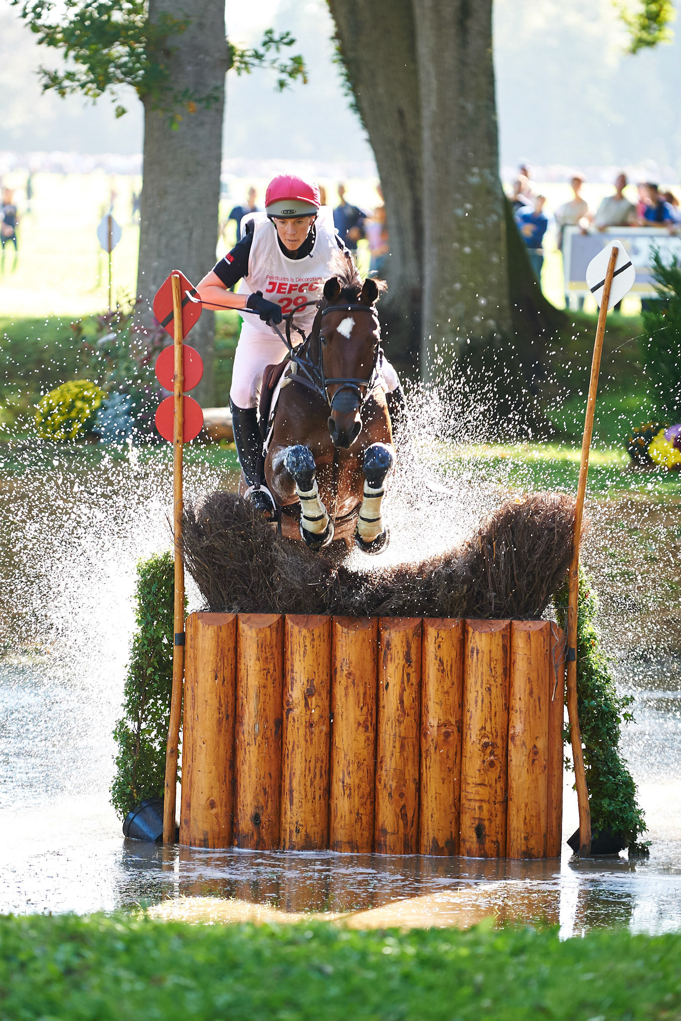 The Mondial du Lion, Cross I