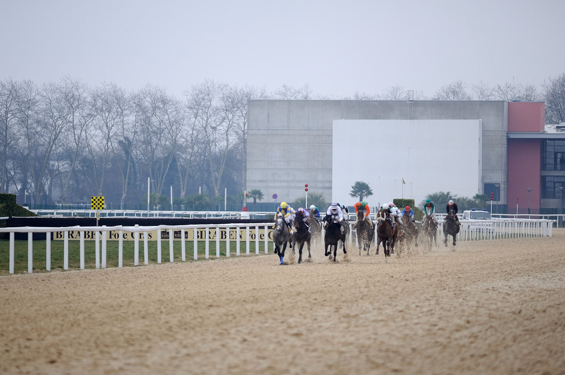 Horse Racing - Racecourse Angers / Ecouflant - Finish