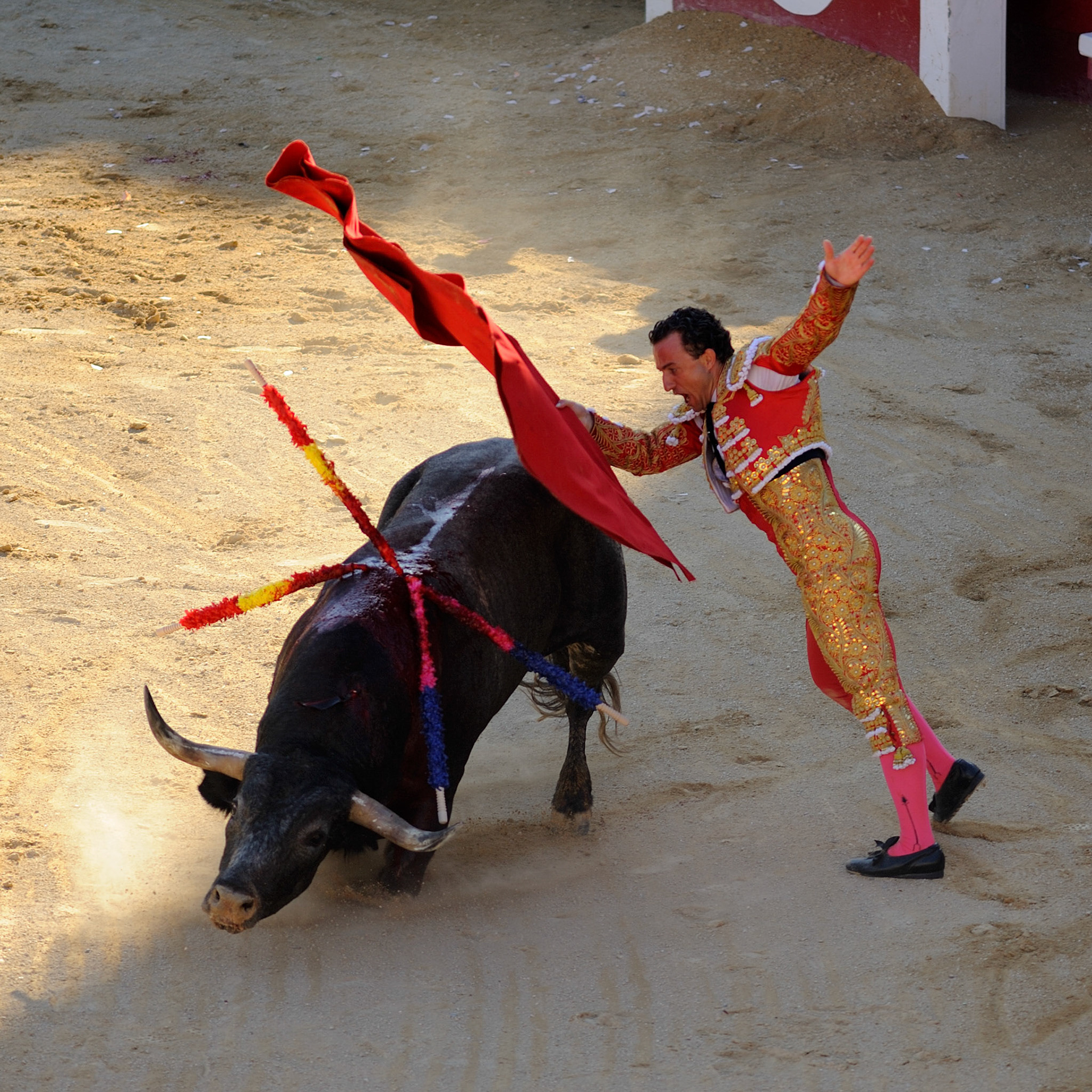 Down on one knee - Arena of Béziers