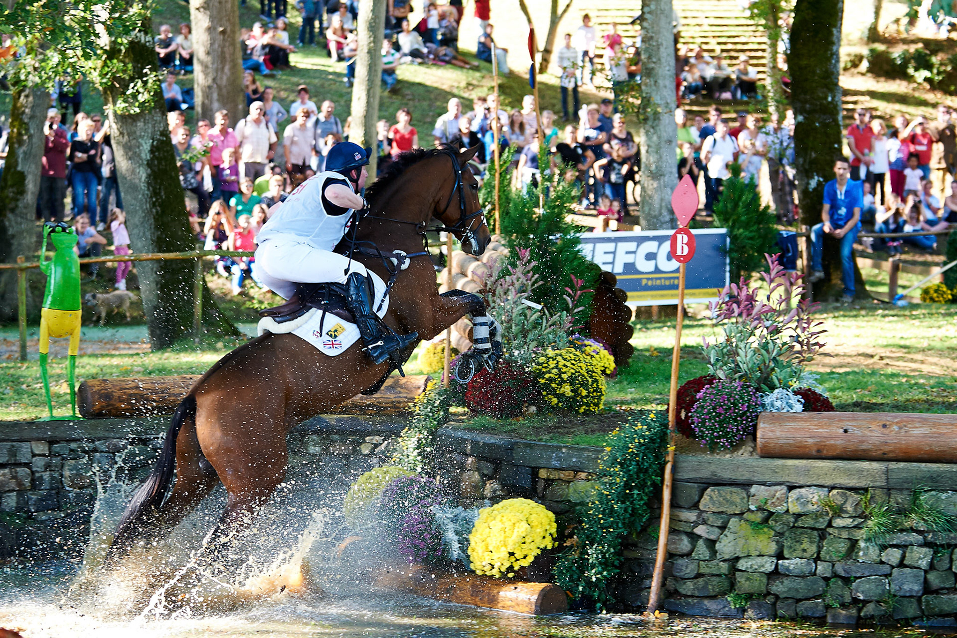 The Mondial du Lion, Cross II