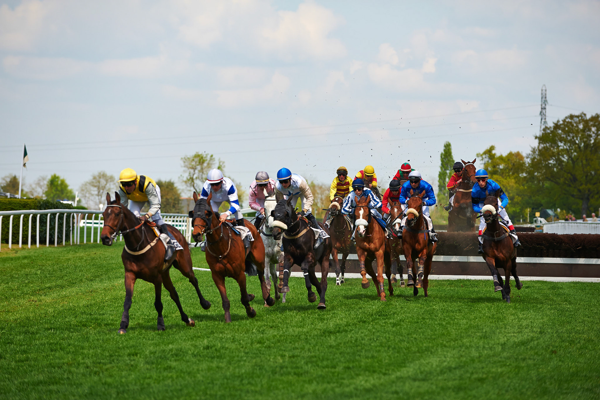 Horse Racing - Racecourse Angers / Ecouflant