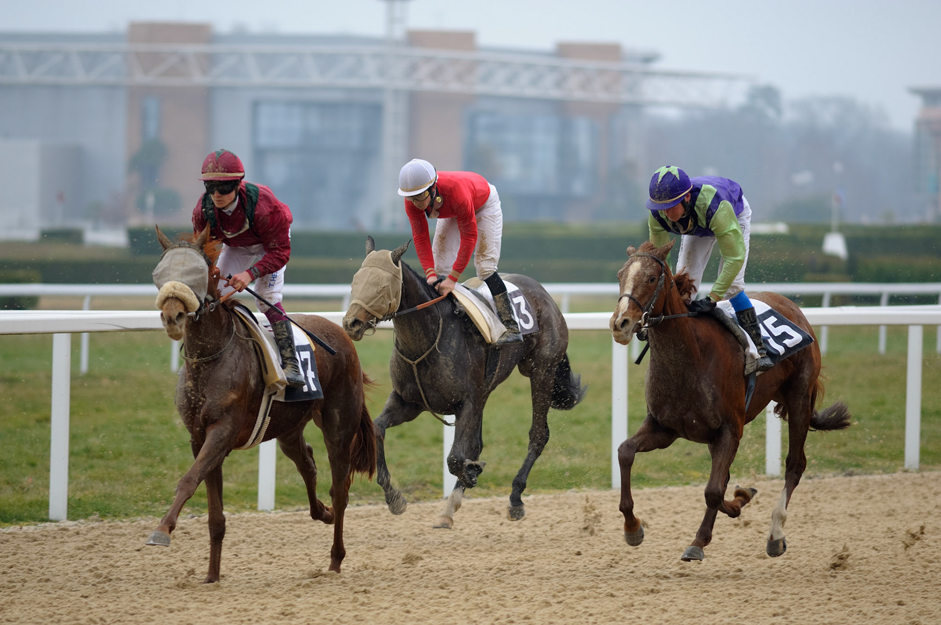 Horse Racing - Racecourse Angers / Ecouflant - Photo finish