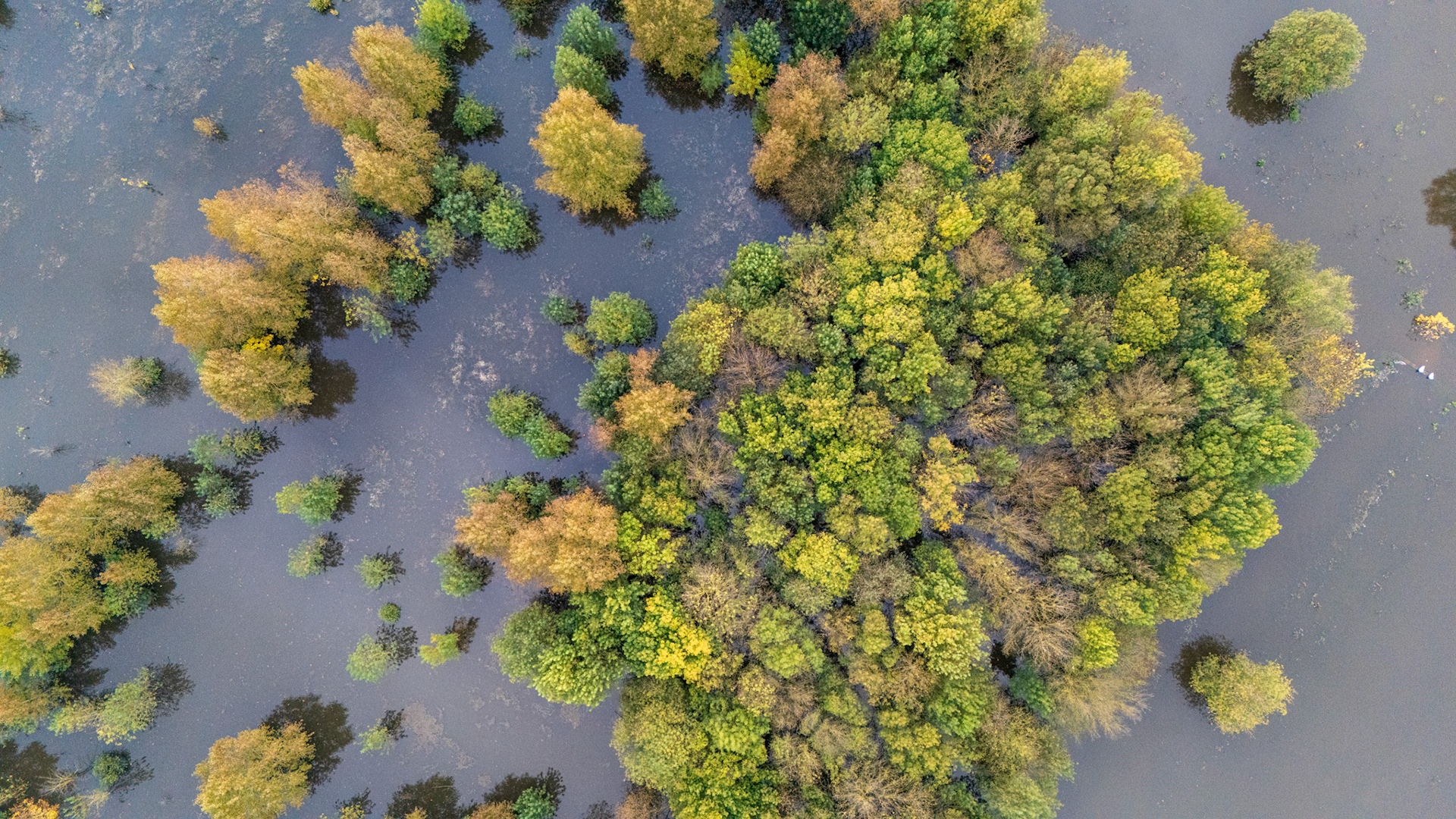 High waters in Bouchemaine