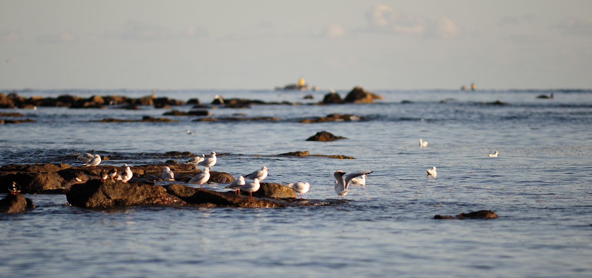 Near the lighthouse of Eckmühl - Penmarch