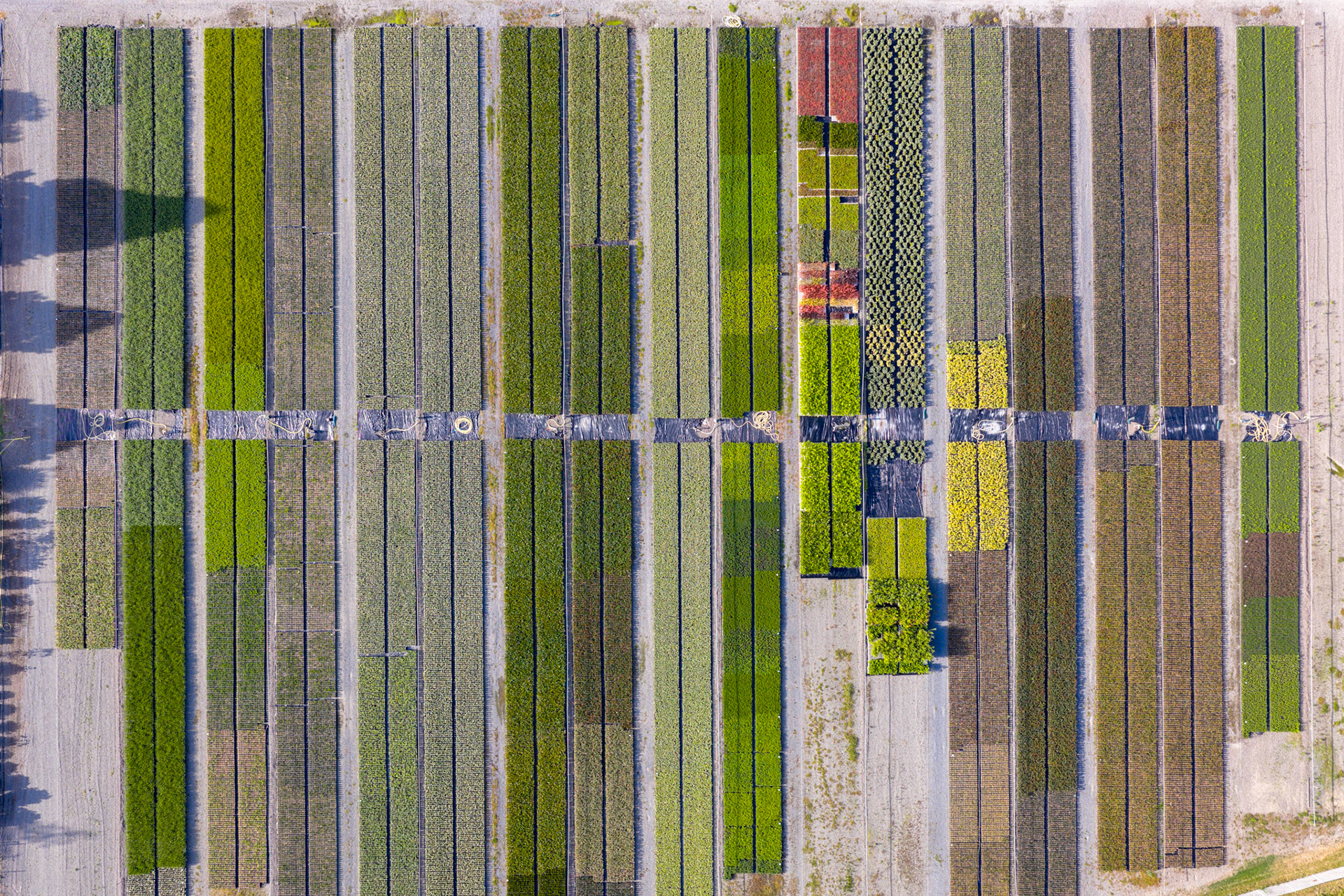 Tree nursery at La Bouvinerie