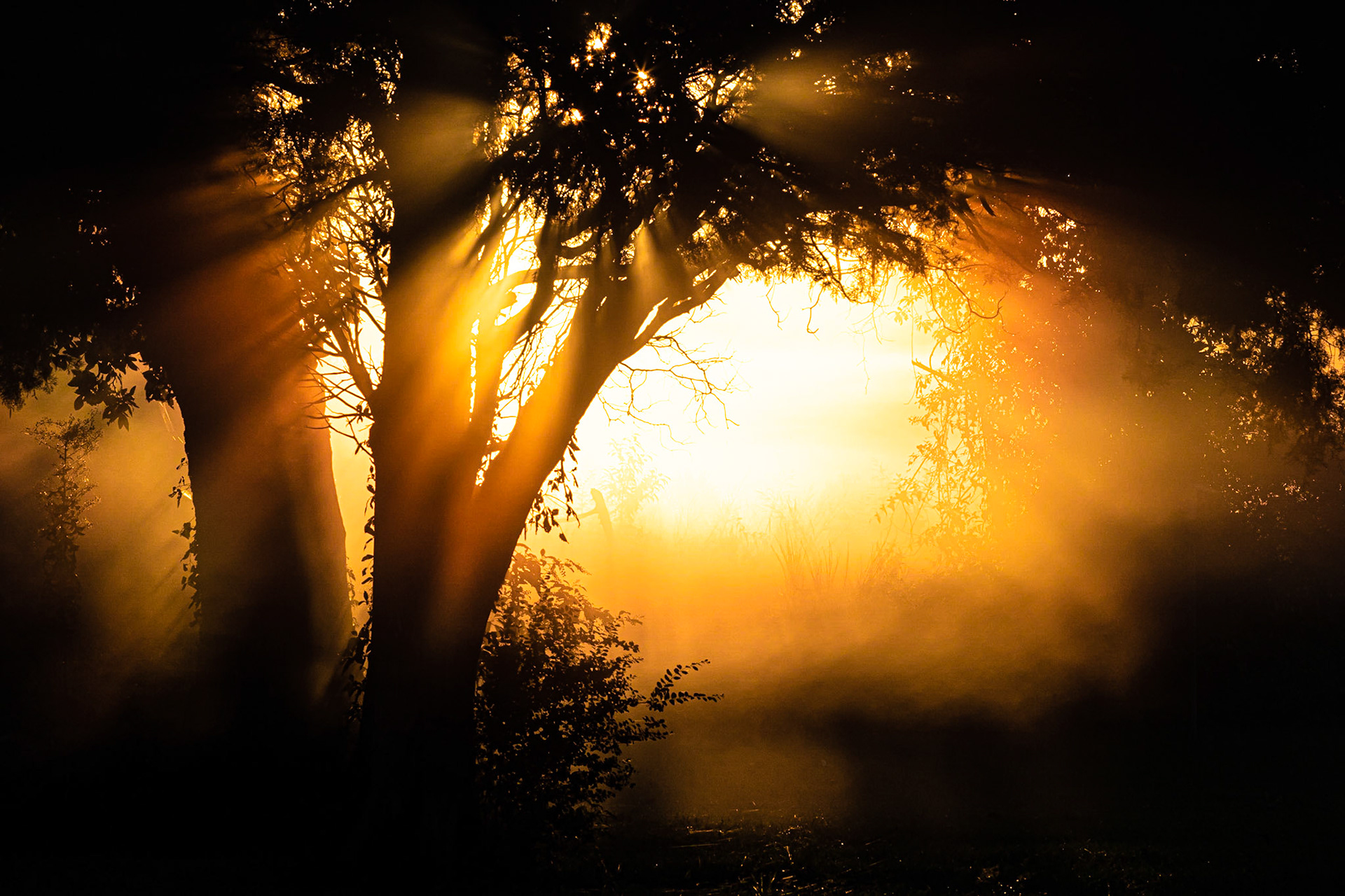 Sunrise at Mackay