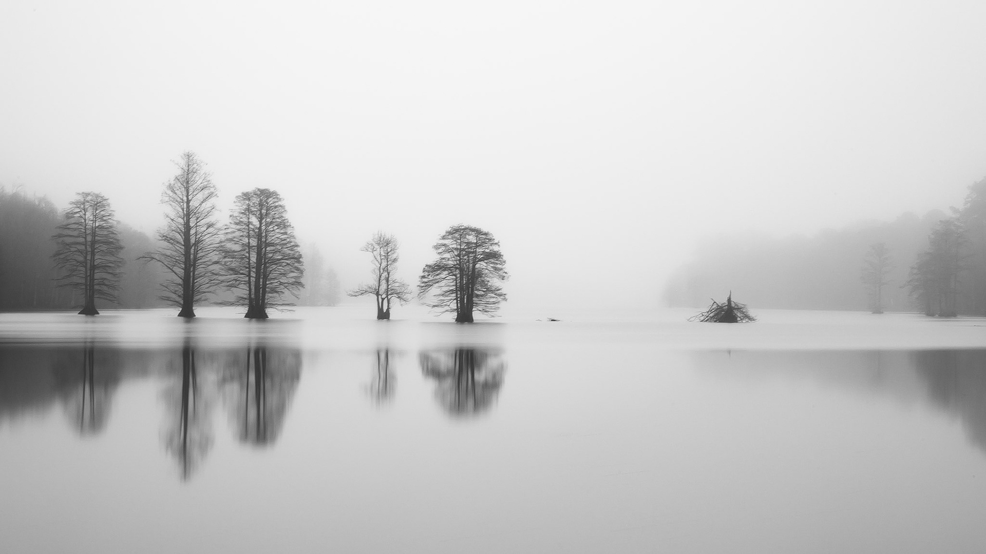 Rain at Stumpy