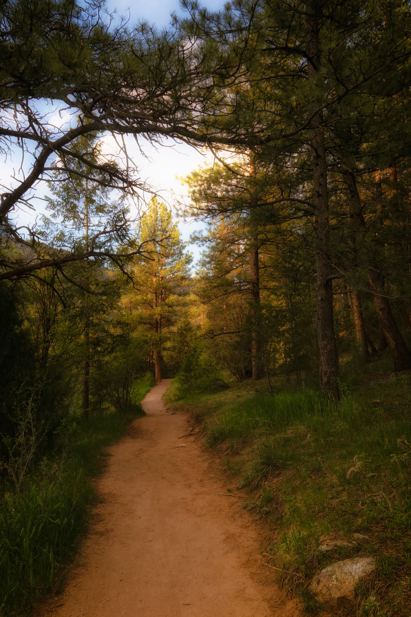 Twenty years ago I abandoned a dream in photography to do what I thought others wanted me to do. I did a good job. I worked hard and achieved. I even enjoyed it and am eternally gateful for what I learned and gained as a growing individual. Each year, though, I grew more aware of the artist in myself that I was starving. It took a mental health crisis to finally gather the courage I needed to answer back that small voice who, for so long, had been crying out to create. What I have found so far is that I am brave, I am an outdoors person, I am an artist, a photographer, a naturalist, and an advocate. I intend to use my photography for good, showcasing the ways that nature loves us back - a photographic practice of gratitude for the beauty that nature provides. I know I am on The Path.