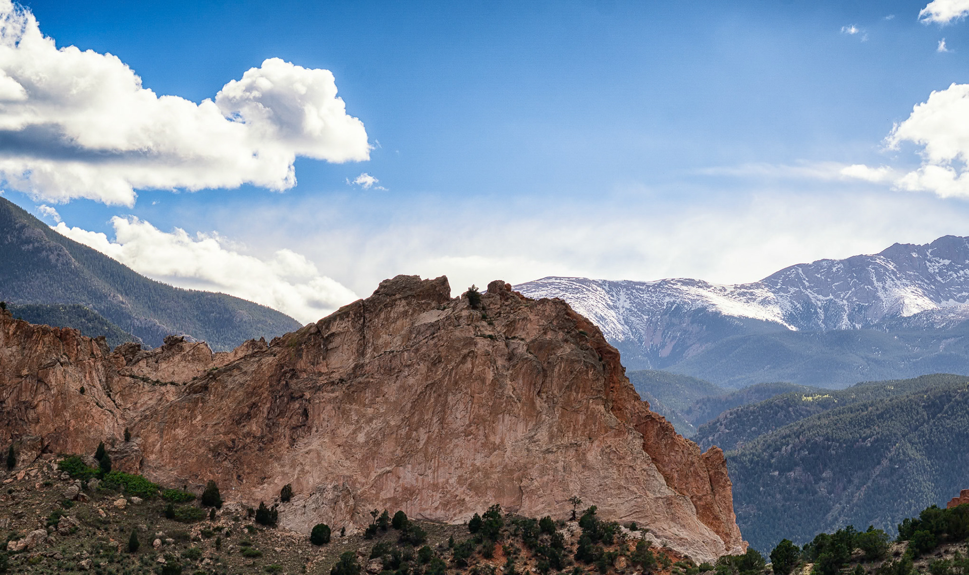 Stegosaurus Silhouette