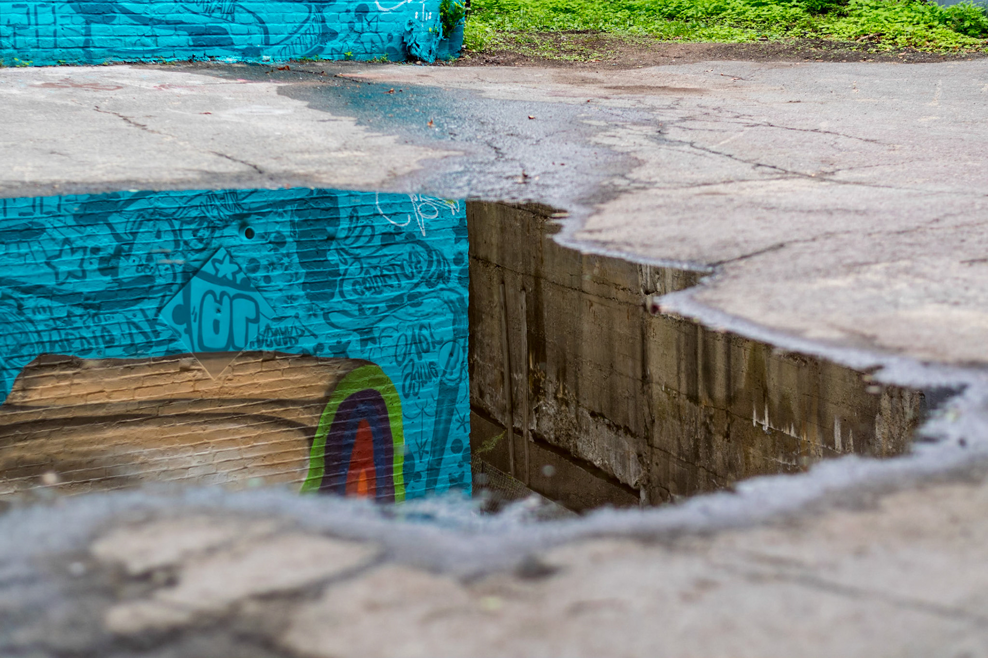 #220
Mural in Lynn, MA; part of the Beyond Walls
