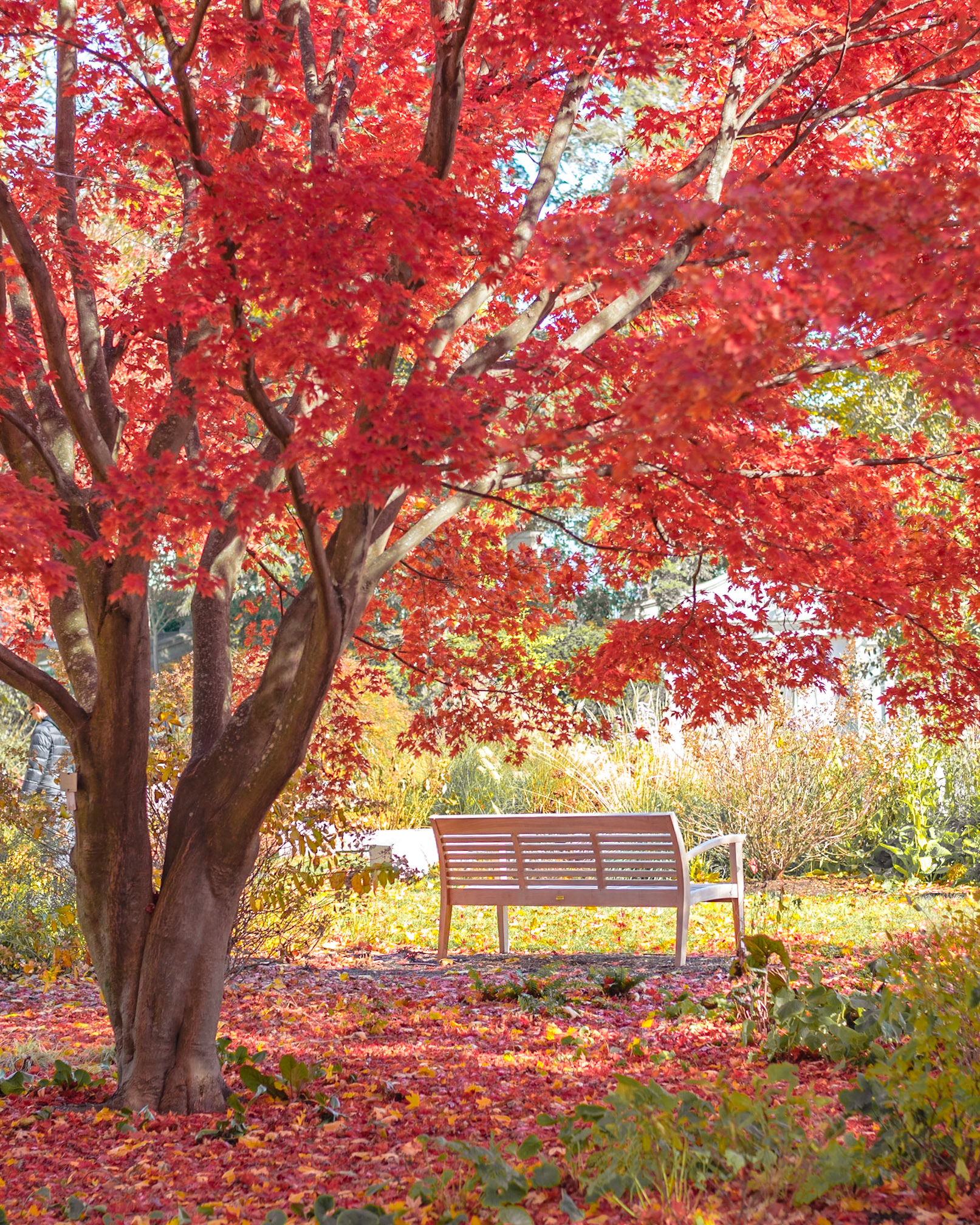 #456 Mt. Auburn Cemetery, Watertown, MA