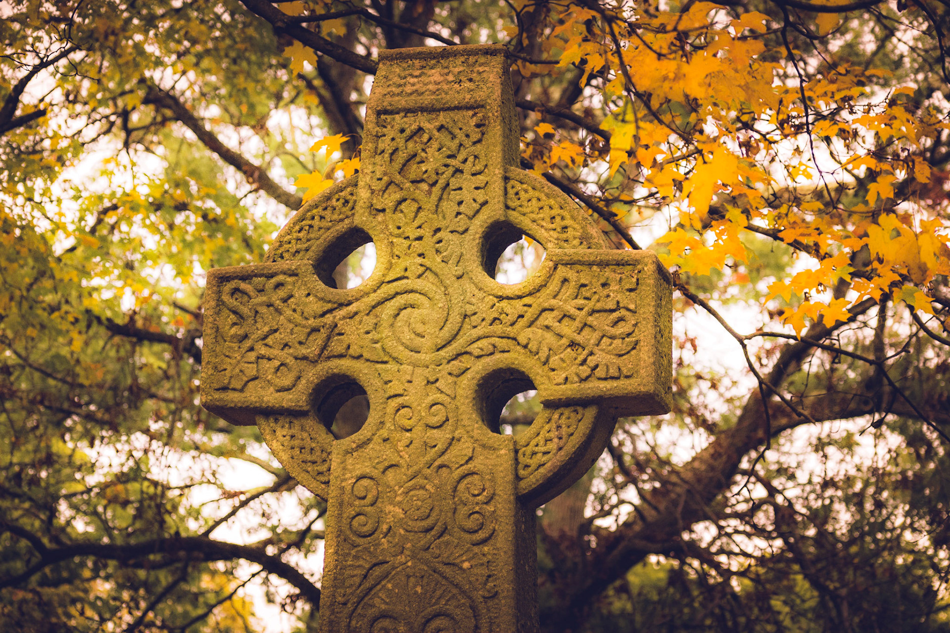 #192 Mt. Auburn Cemetery, Watertown, MA