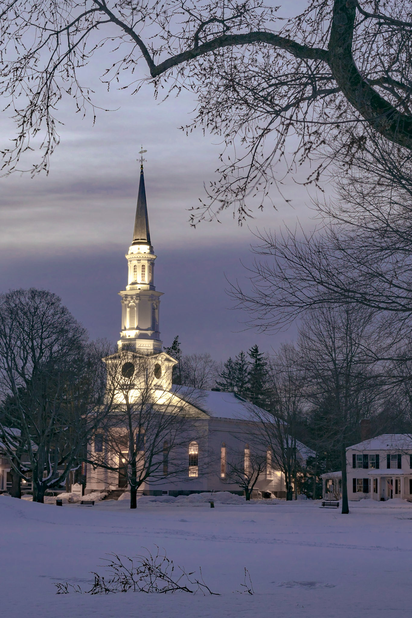 #262 Lexington, MA, WInter night