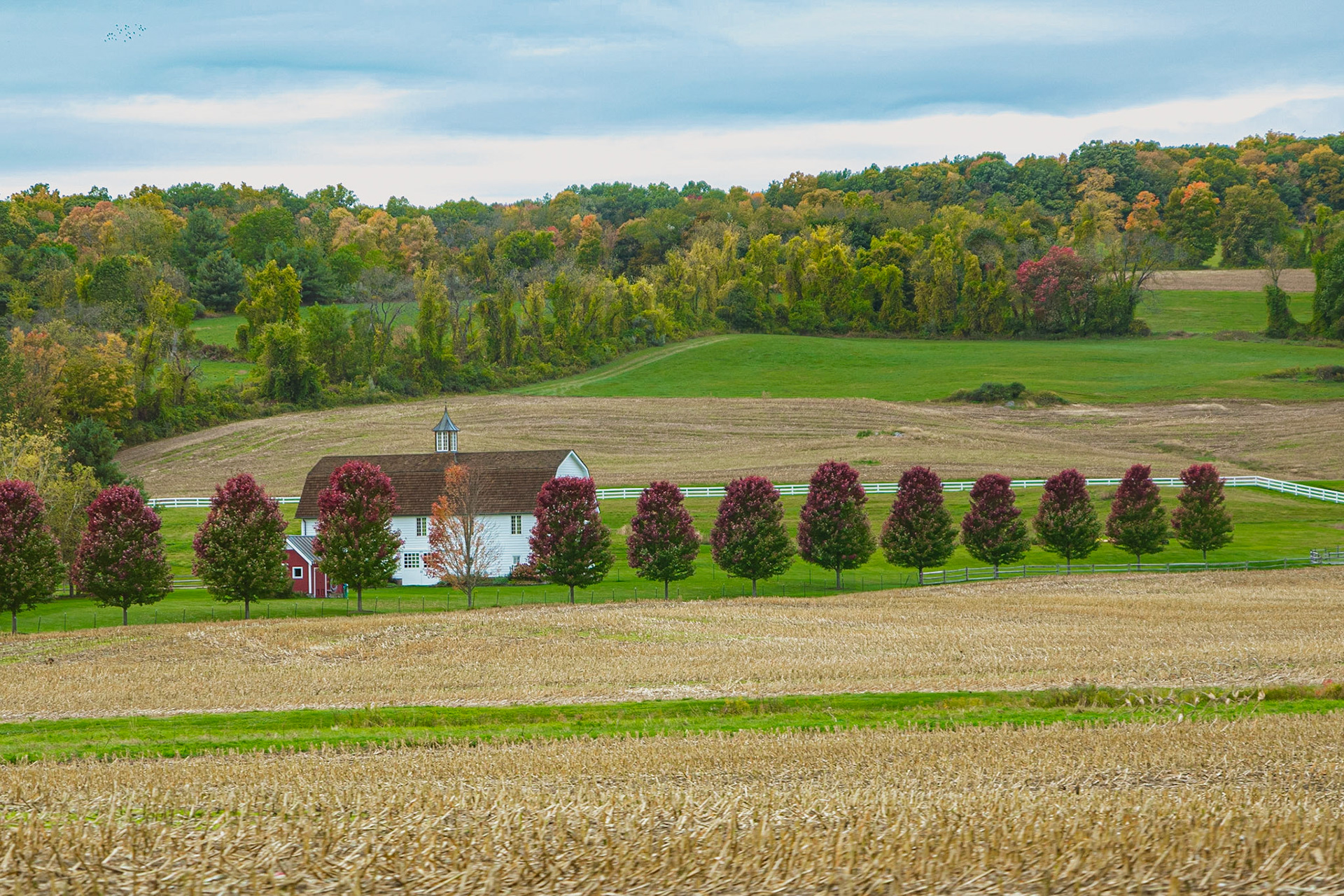 We were driving along Route 22 near Hillsdale NY when this scene caught my eye.  My husband is a good sport and pulls over when I ask.  ...