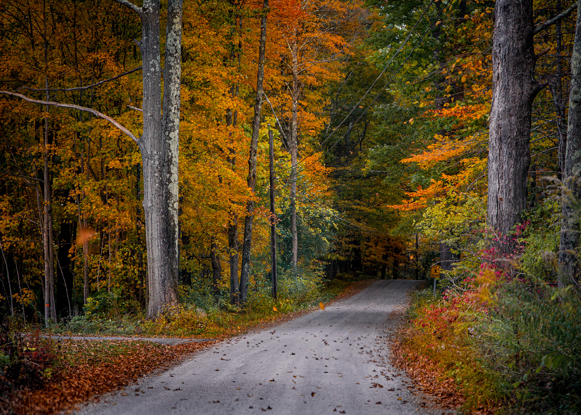 One always wonders about roads not taken. ~ Warren Christopher.Beautiful backrounds in Stockbridge, MA.