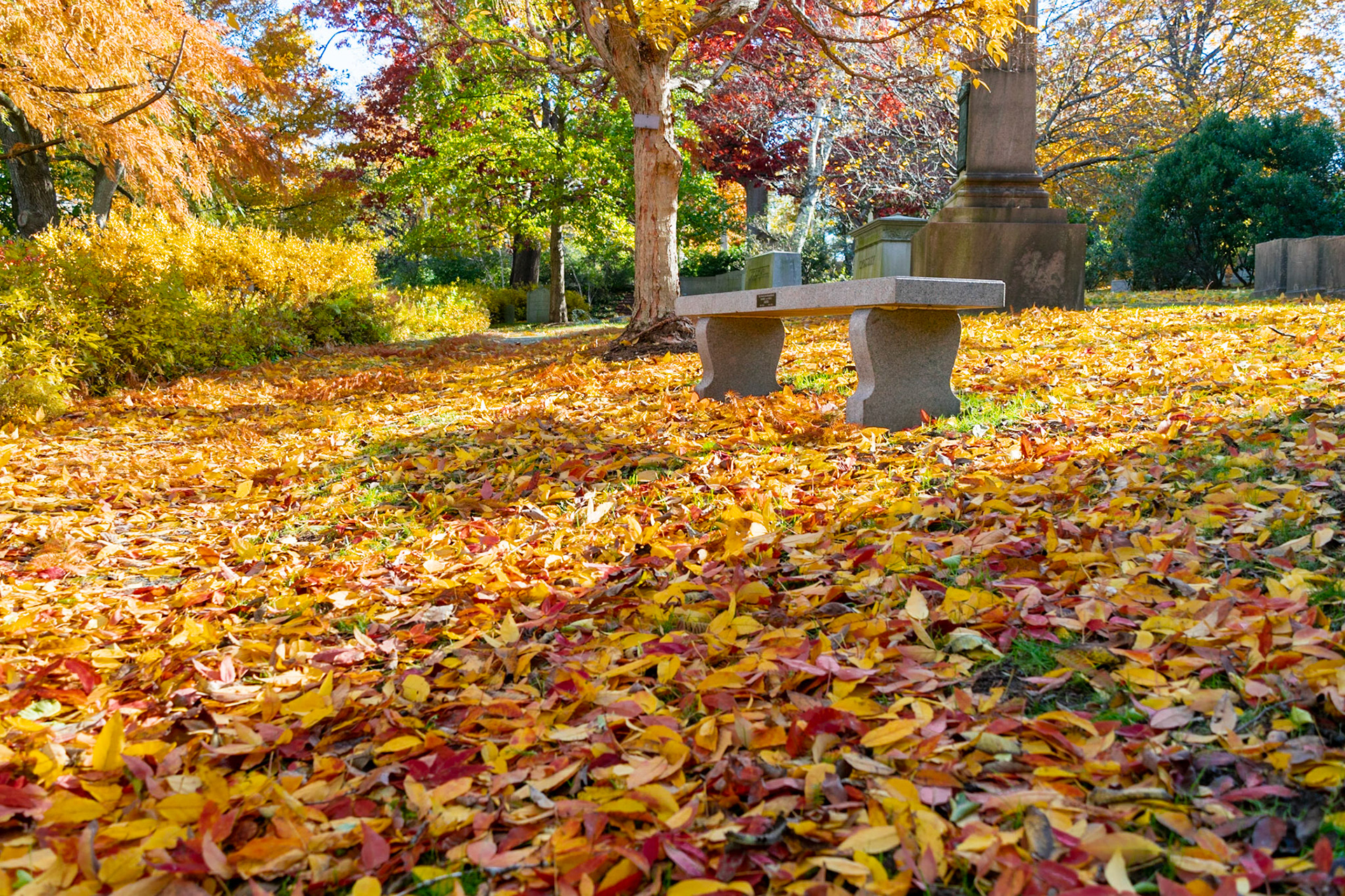 #442 Mt. Auburn Cemetery, Watertown, MA