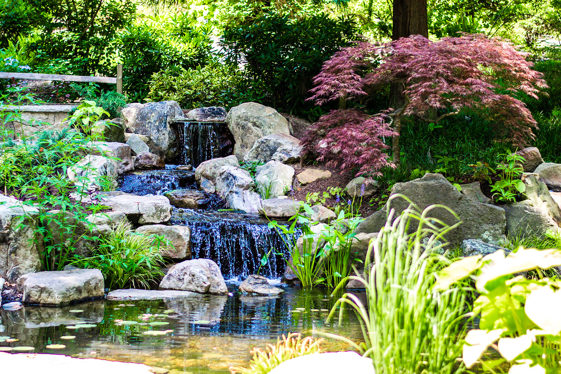 #331 A waterfall at the UNC Charlotte Botanical Garden.