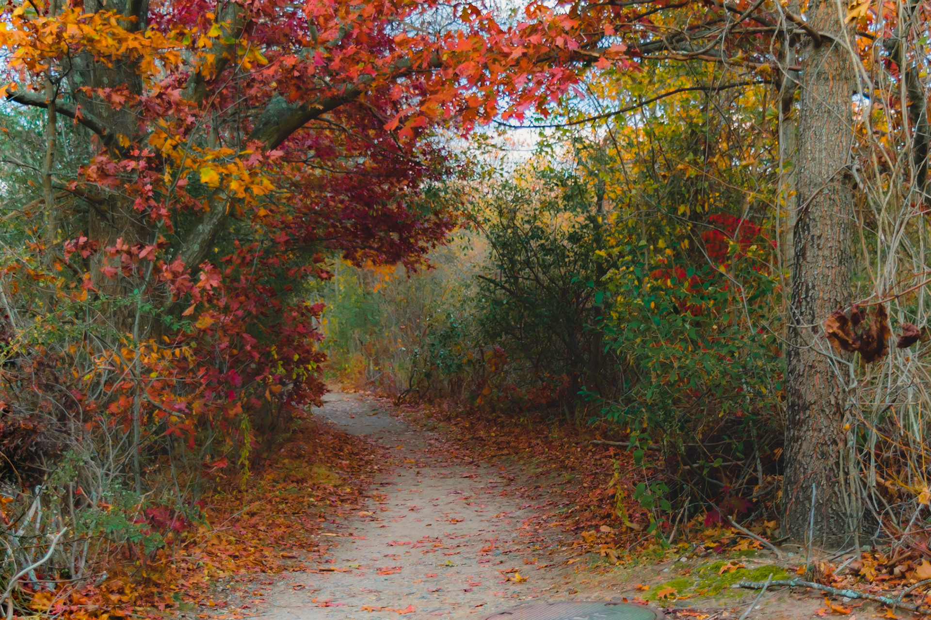 #186 Horn Pond, Woburn, MA