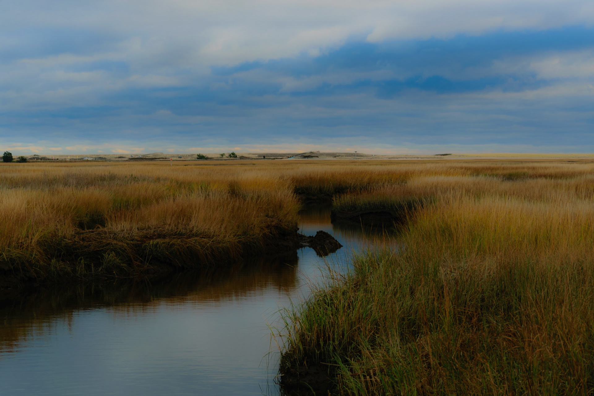 #139 There is something calming about a marsh.Sandwich, MA