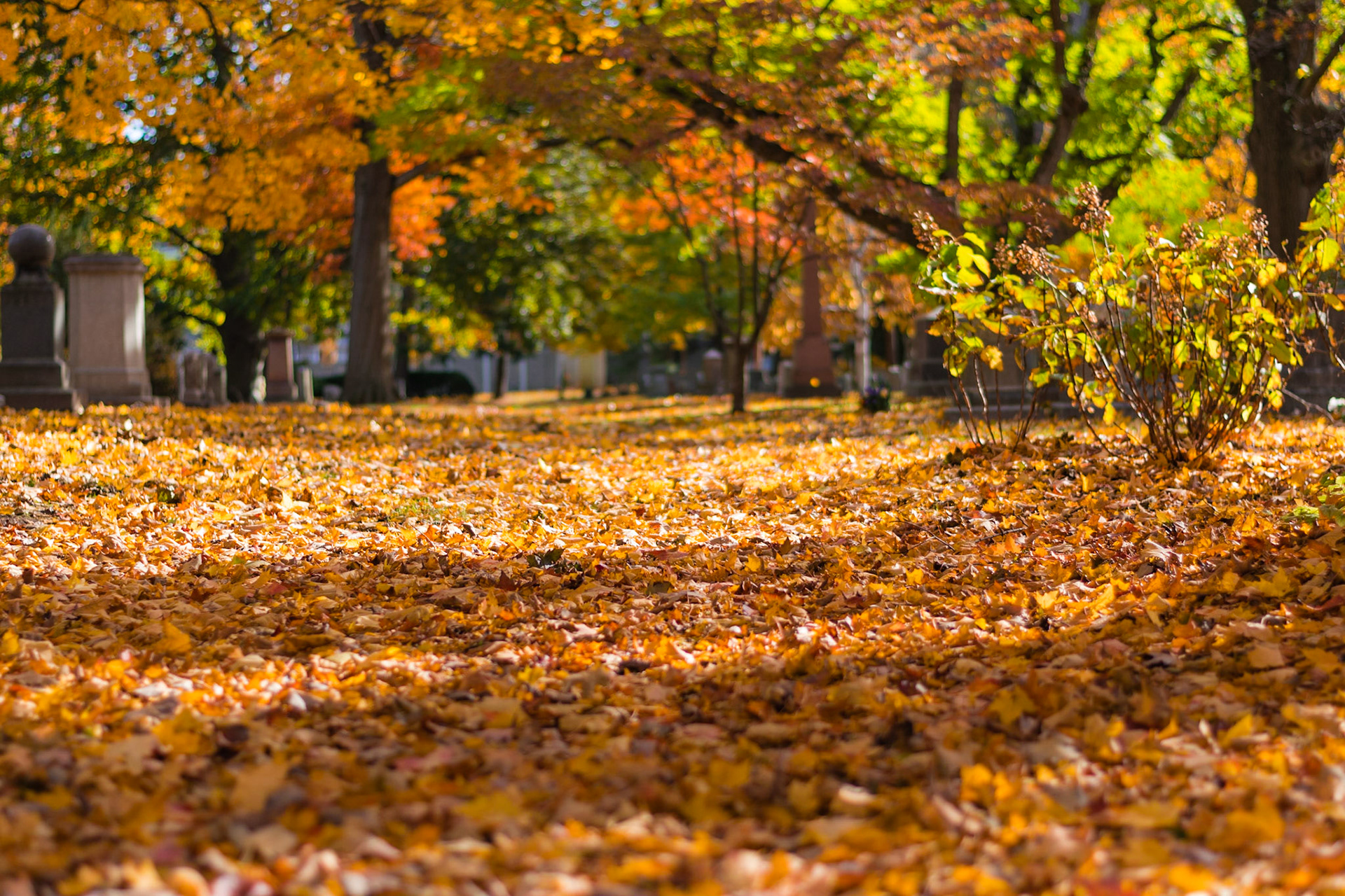 #452 Mt. Auburn Cemetery, Watertown, MA