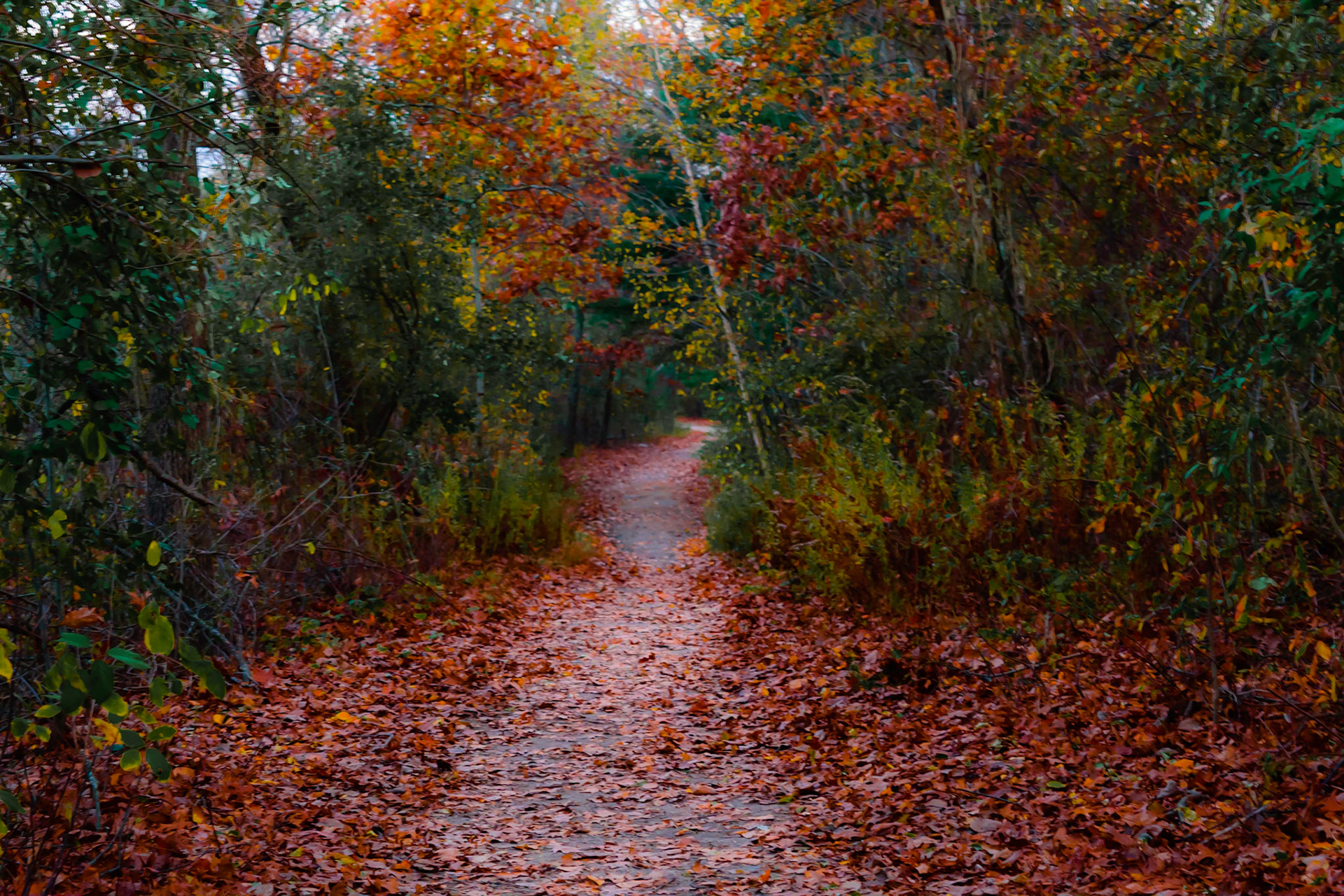 #136 Horn Pond, Woburn, MA