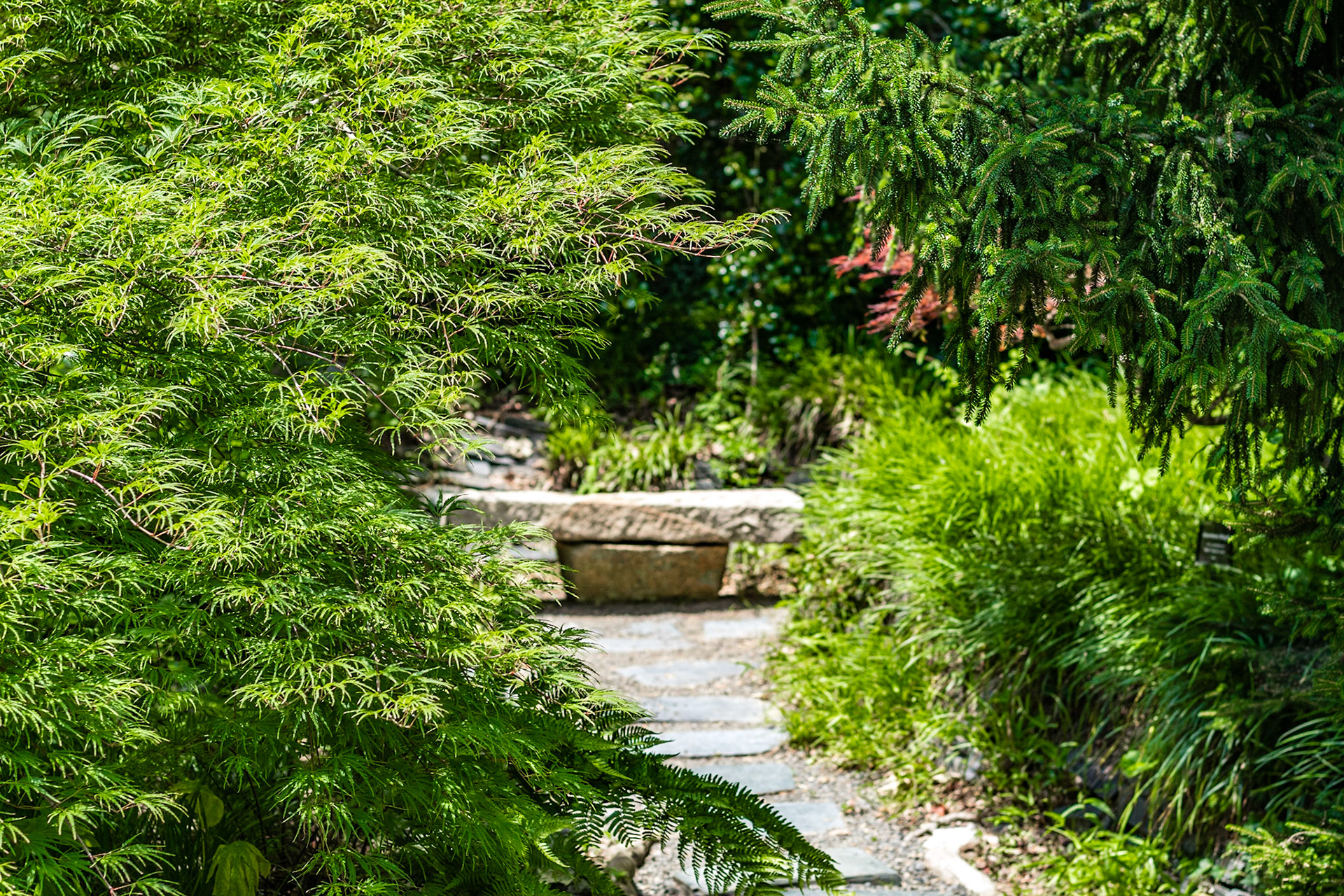 #328 So many nice sitting areas tucked award at the Susie Harwood Garden, UNC Botanical Garden