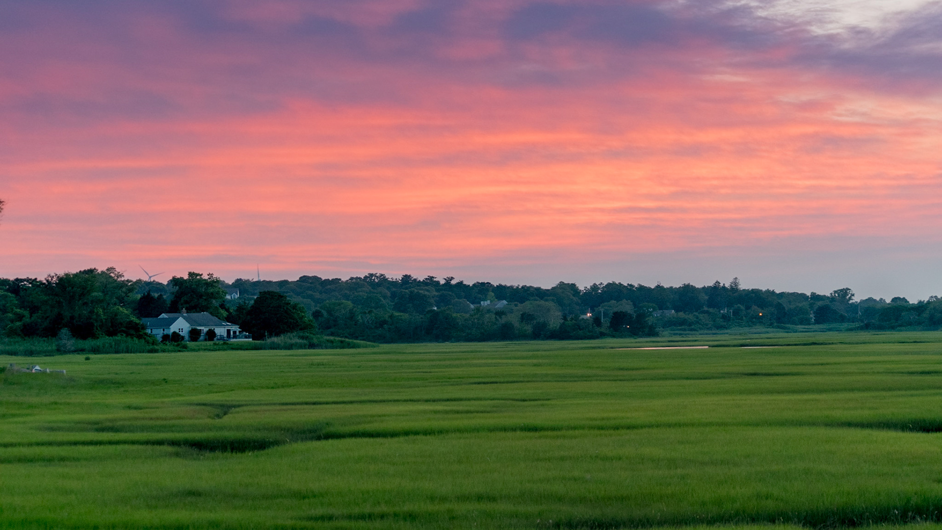 #115 On the marshes at Sandwich BoardwalkSandwich, MA