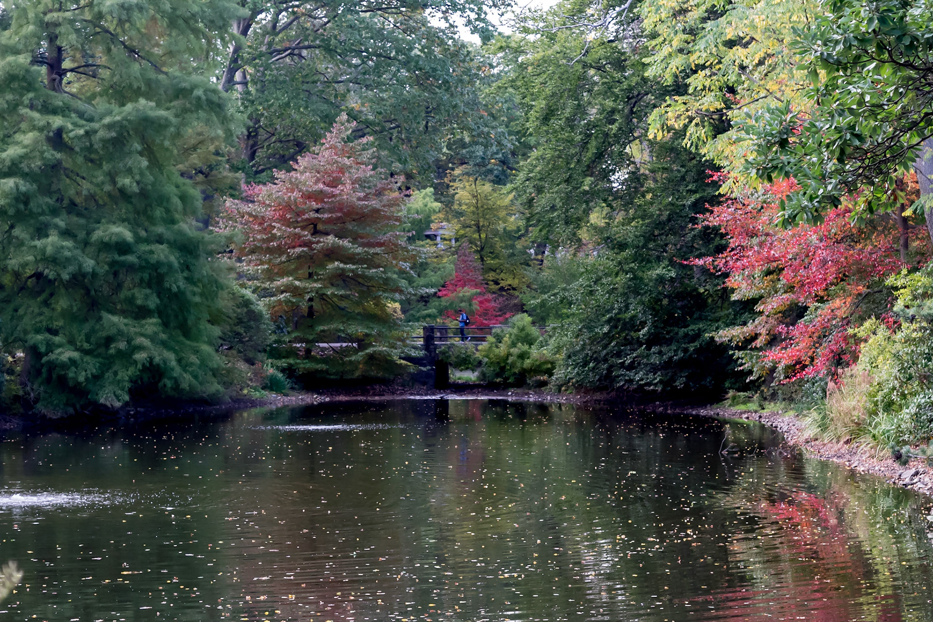 #191 Mt. Auburn Cemetery, Watertown, MA