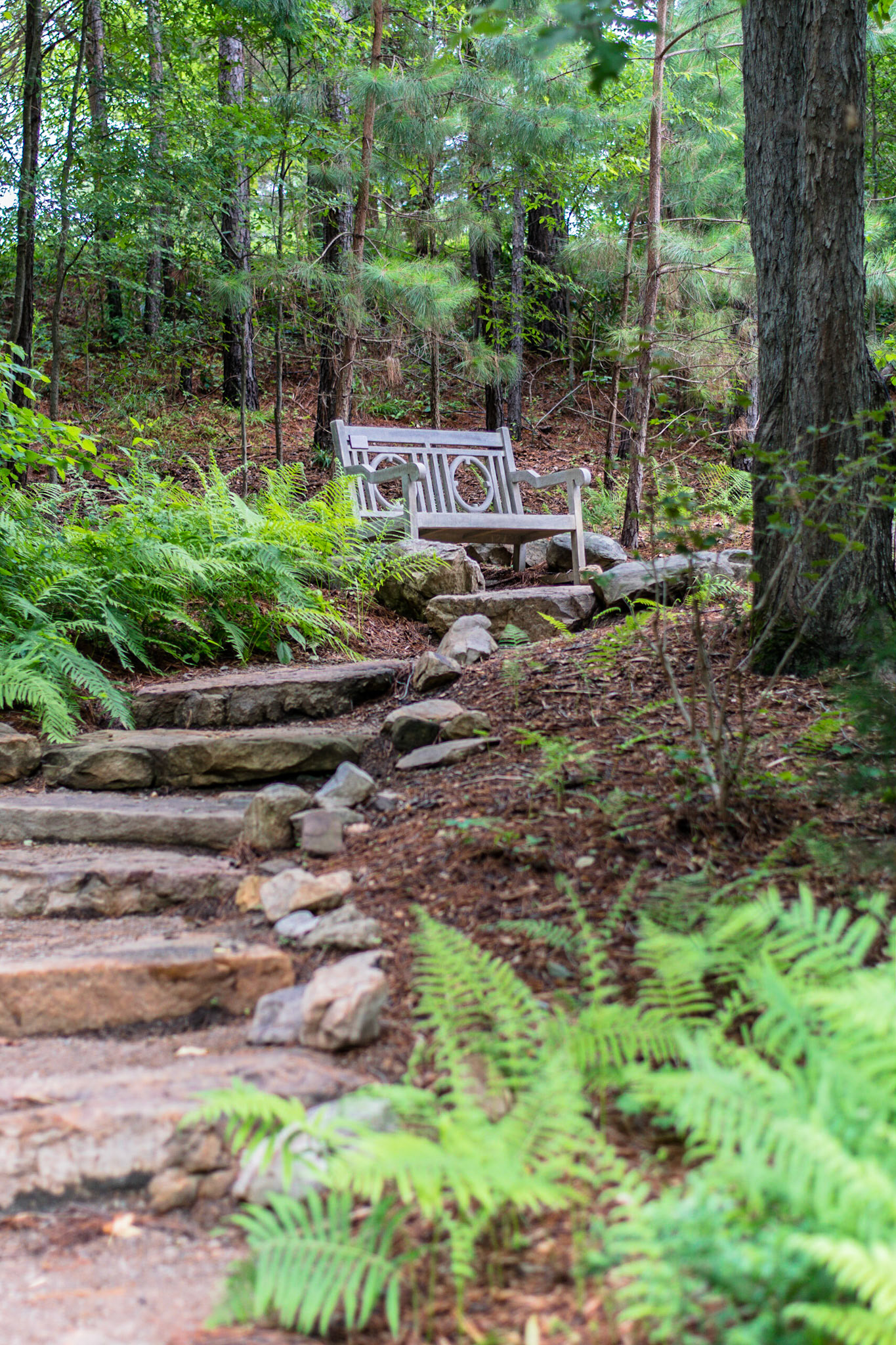 #339 A secret, quiet, place to sit, tucked away in the Lost Hollow at the Daniel Stowe Botanical Garden.