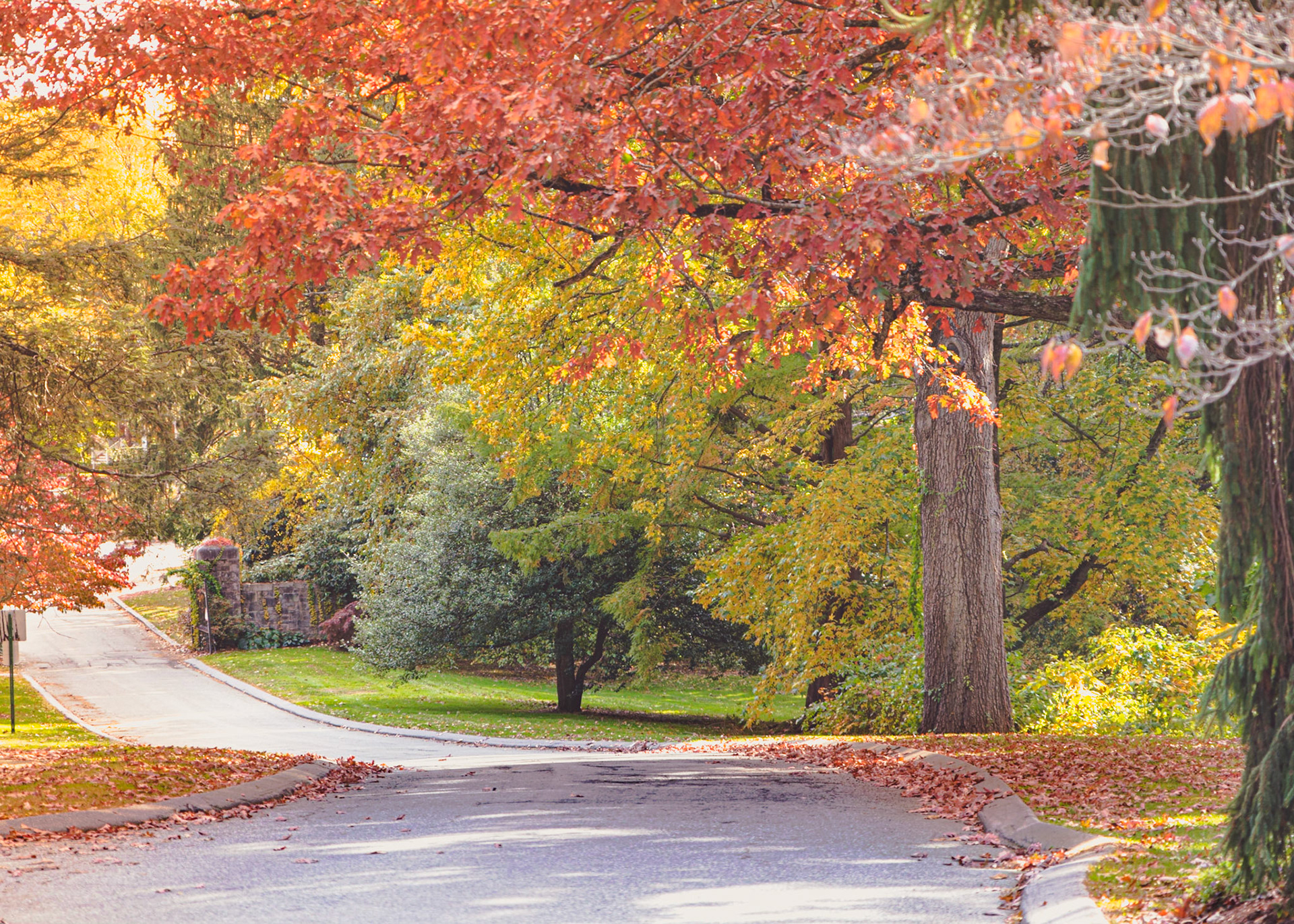 I think my new favorite thing is roadways in autumn.  I love all the different colors and textures....