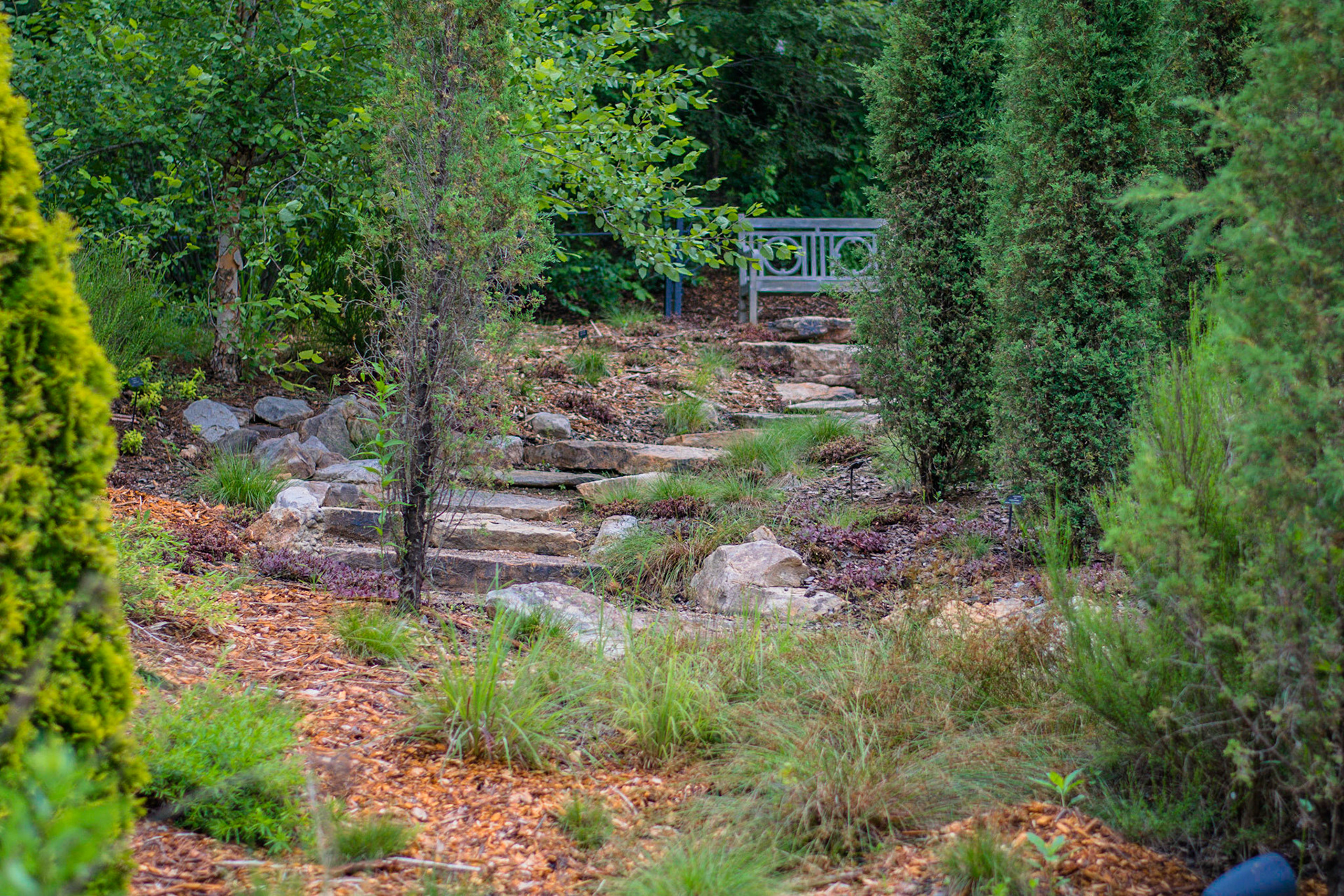 #338 Daniel Stowe Botanical Garden