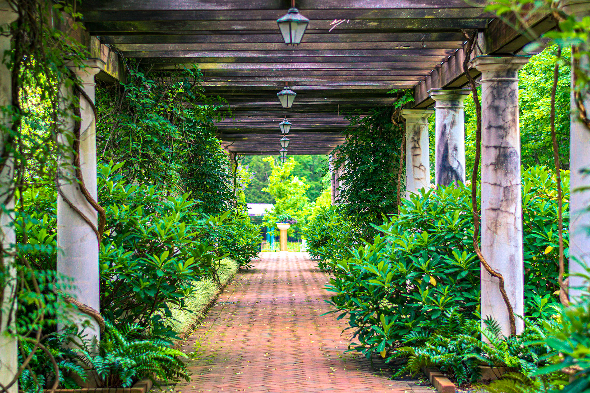 #162 Daniel Stowe Botanical Garden