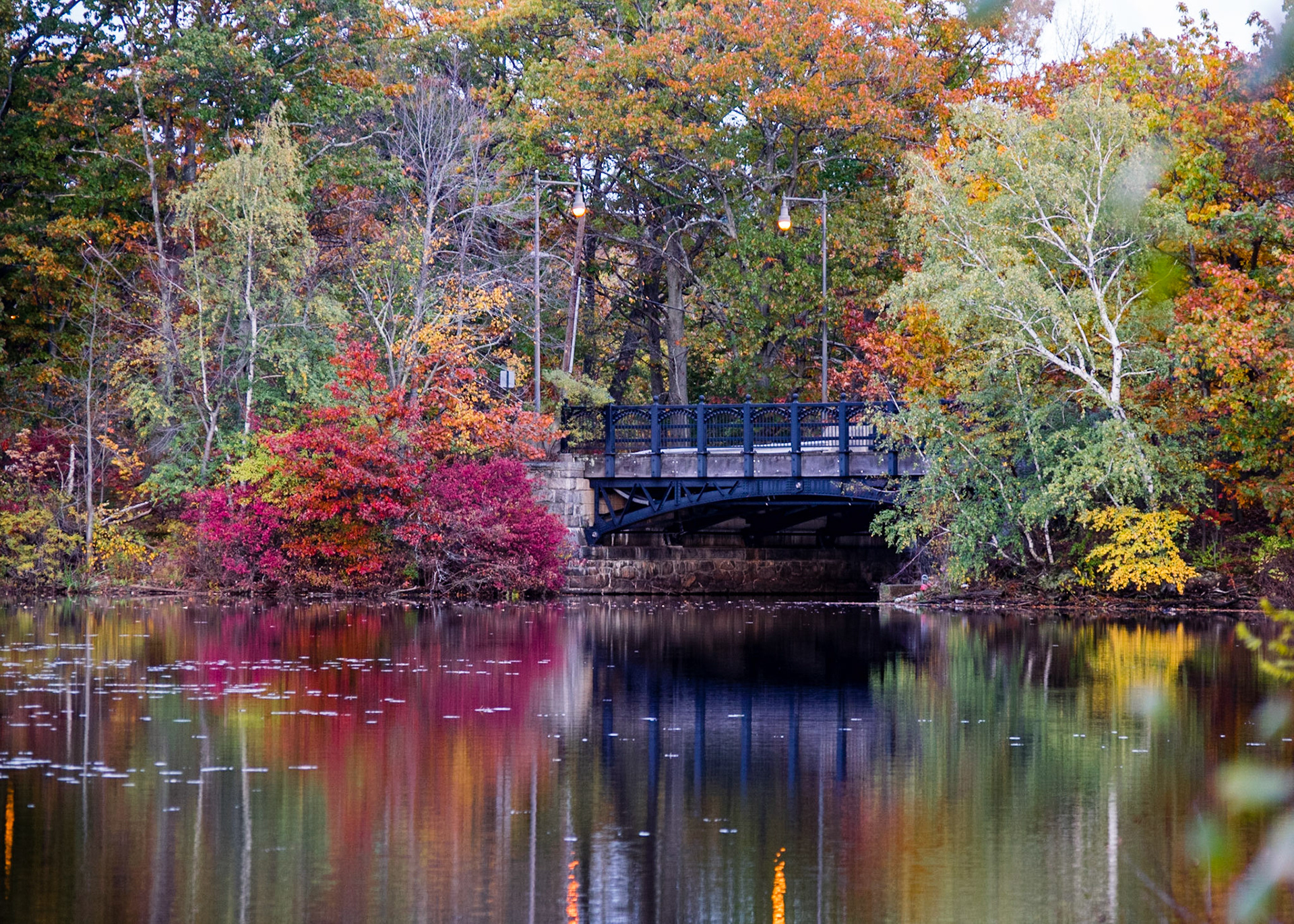 #135 The colors of fall.  Mystic Lakes, WInchester, MA