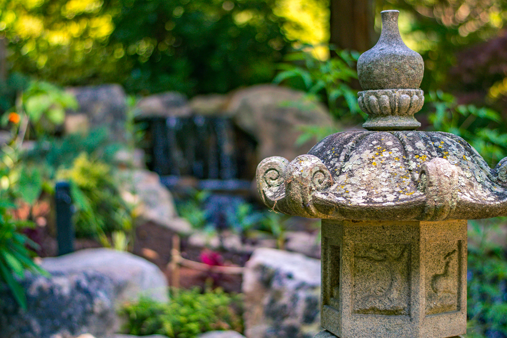 #329 The Japanese Garden in the Susie Harwood Garden at the UNC Charlotte Botanical Garden