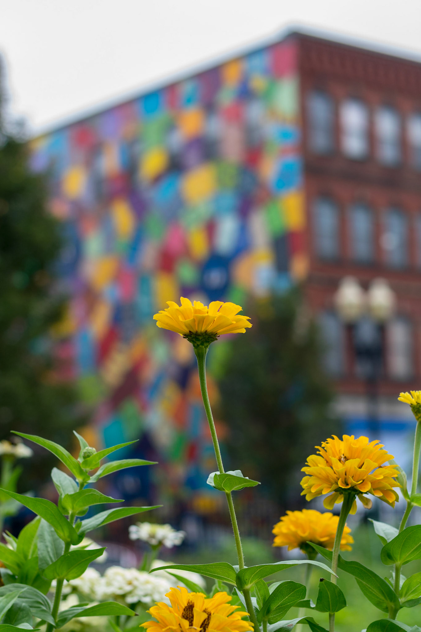 #216
Mural in Lynn, MA; part of the Beyond Walls