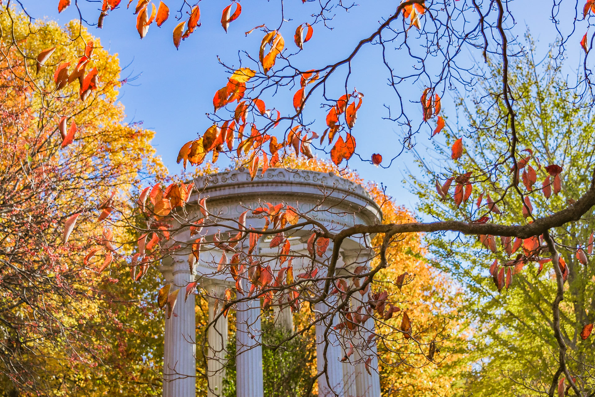 #446 Mt. Auburn Cemetery, Watertown, MA