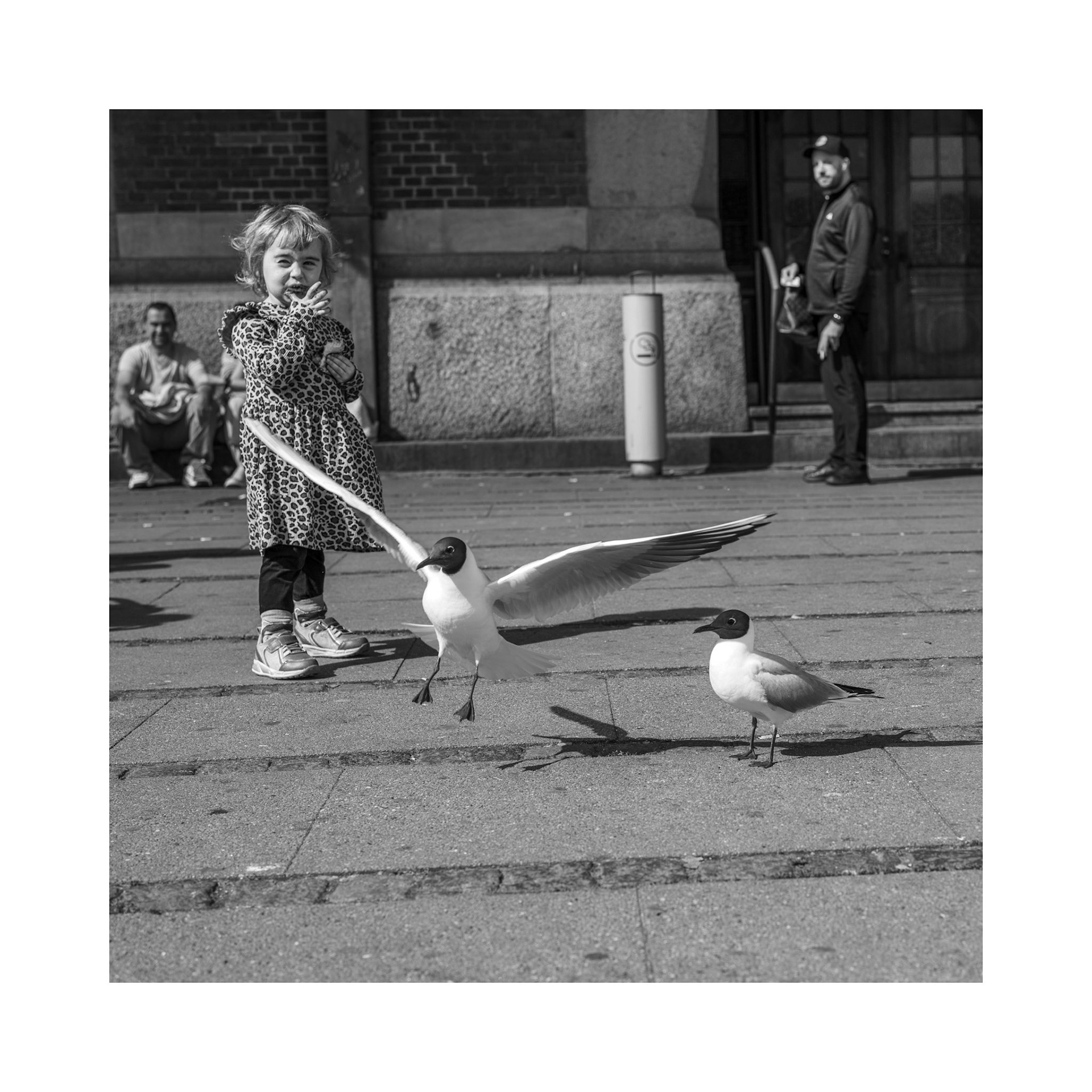 FIRST MEMORY OF JOY