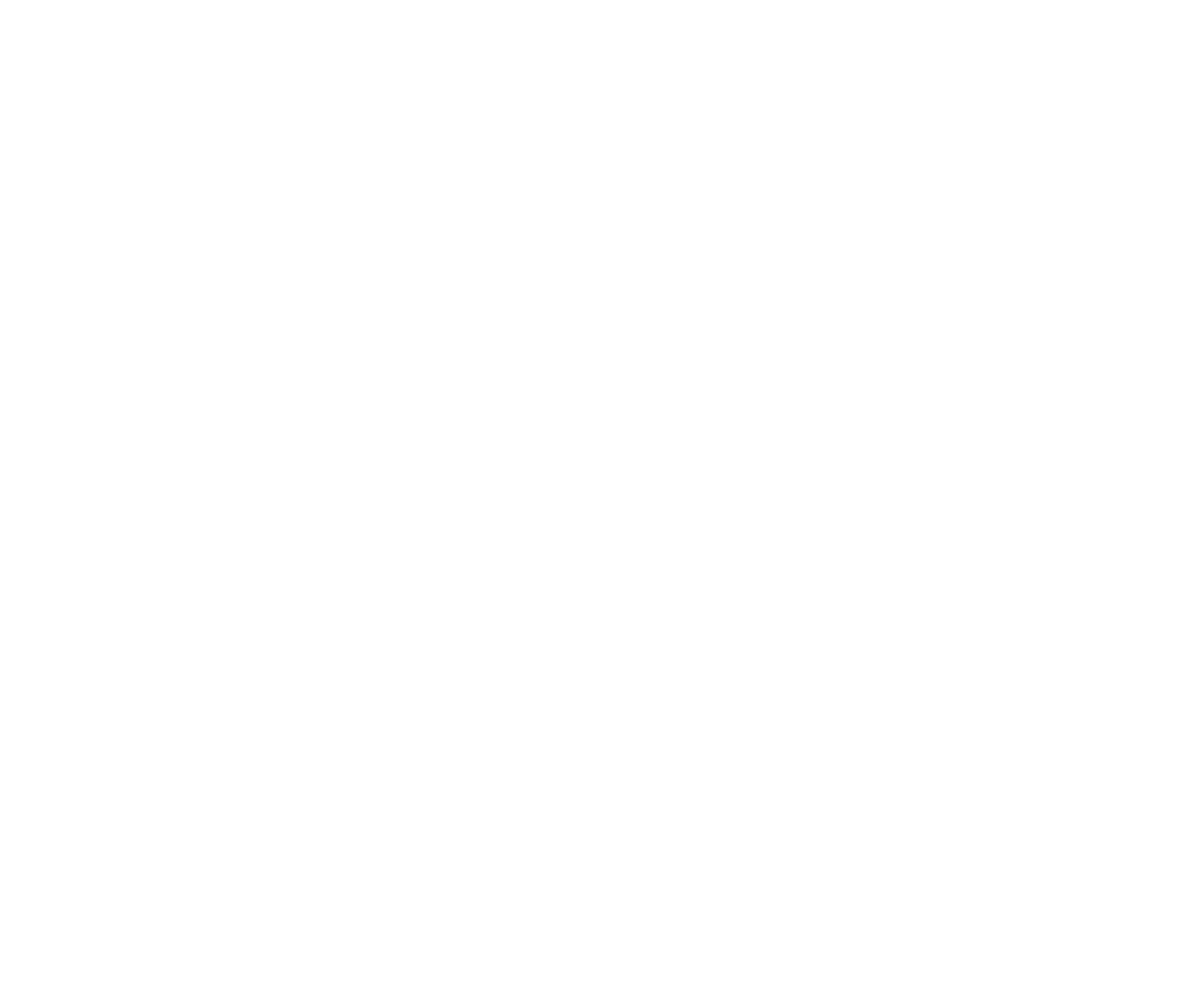 Bruce Hayes