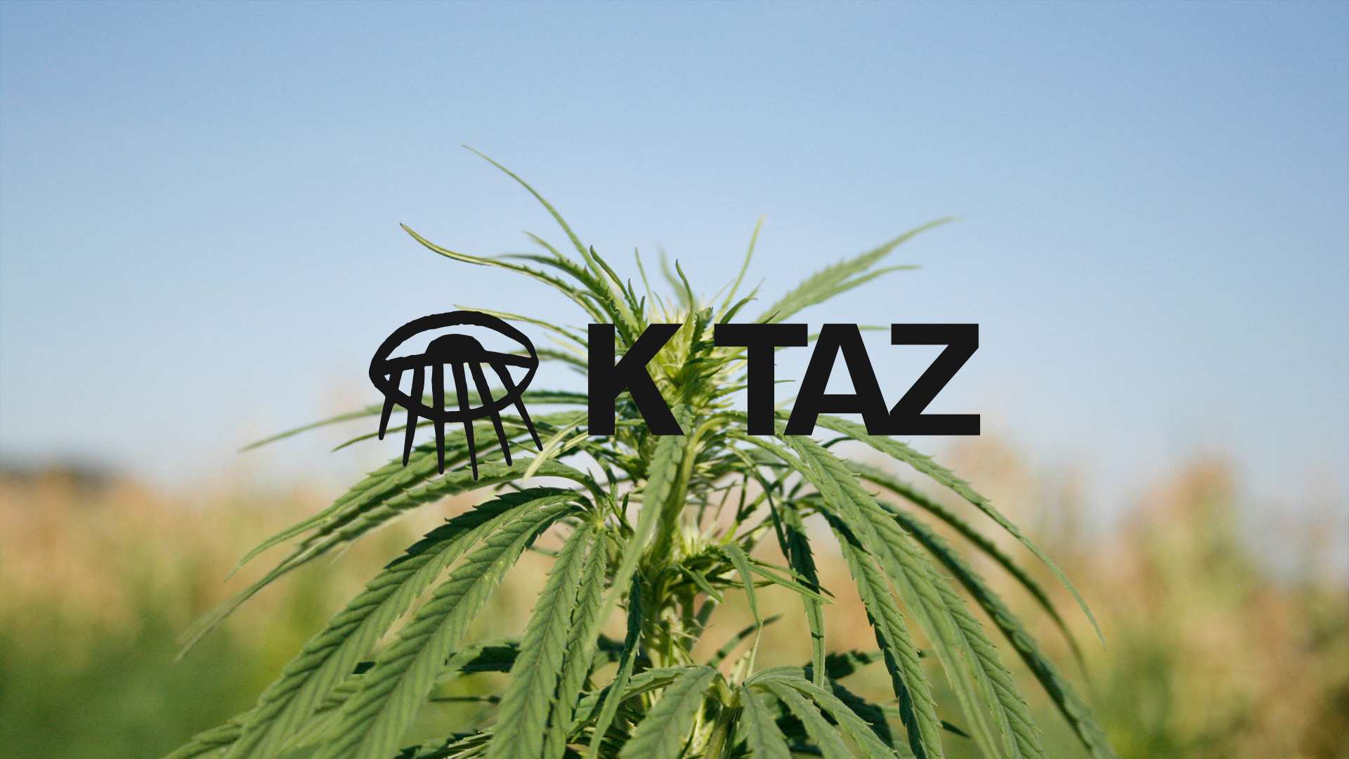 Logo on picture of plant
