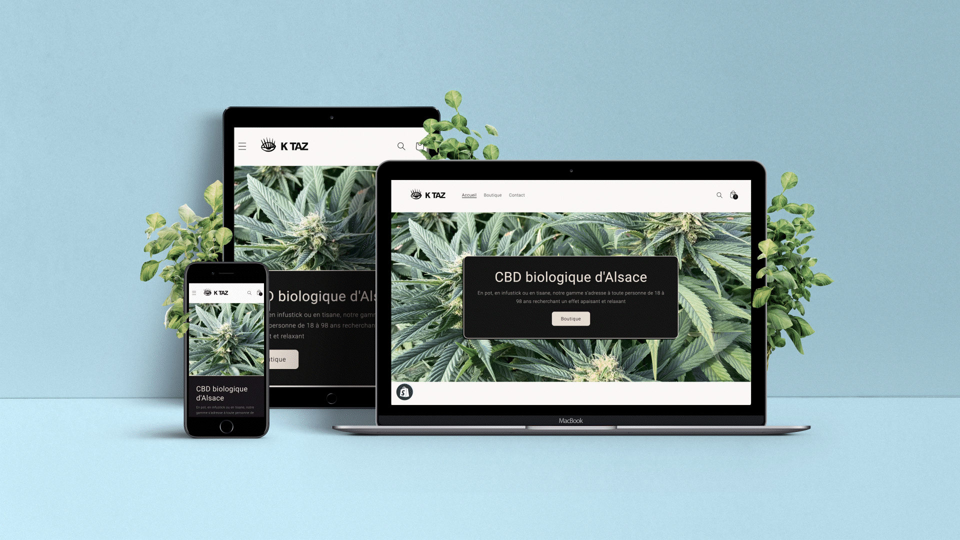 Animation showing different screen sizes of the responsive e-commerce website