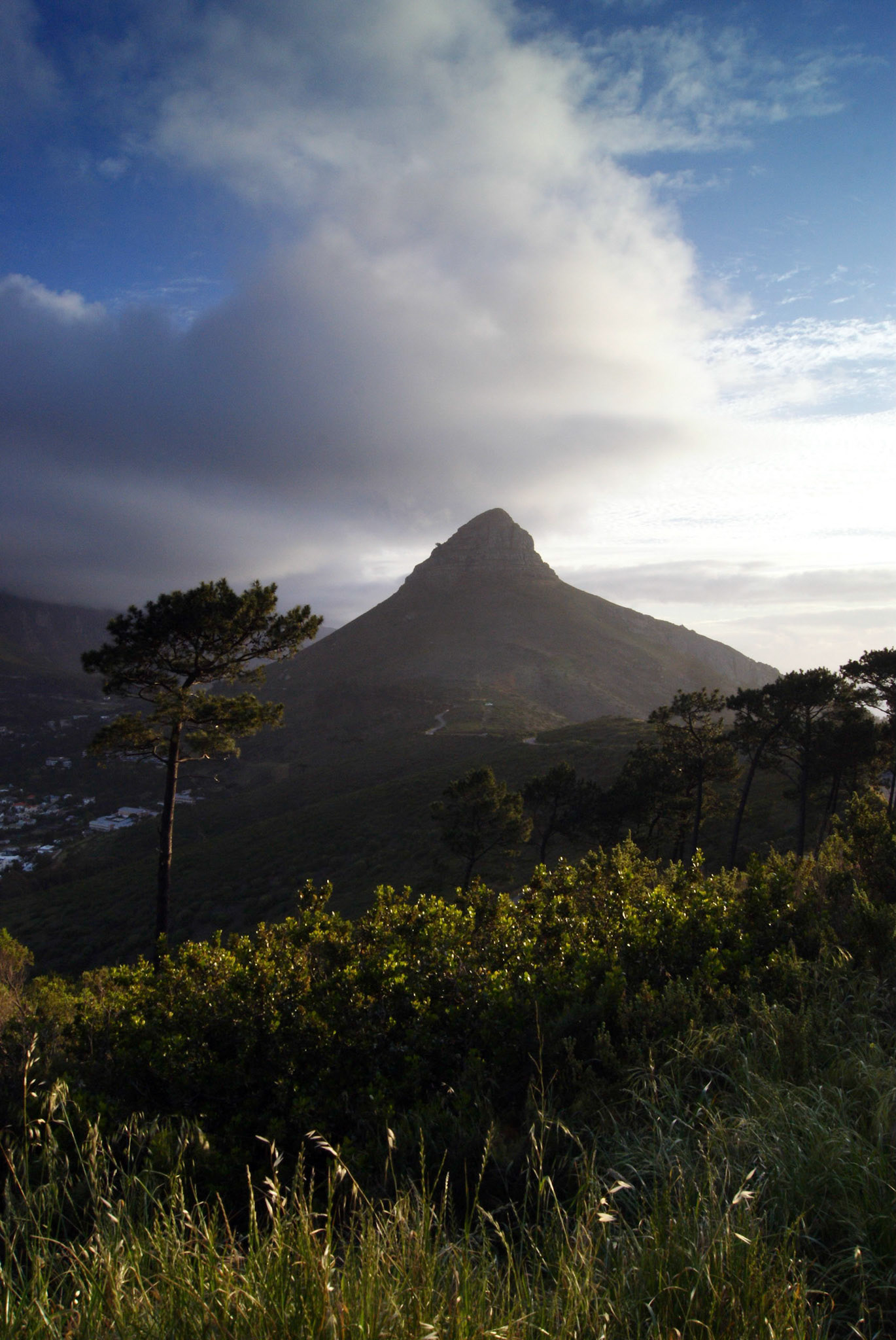 Lions Head, Cape Town, South Africa (SA005)